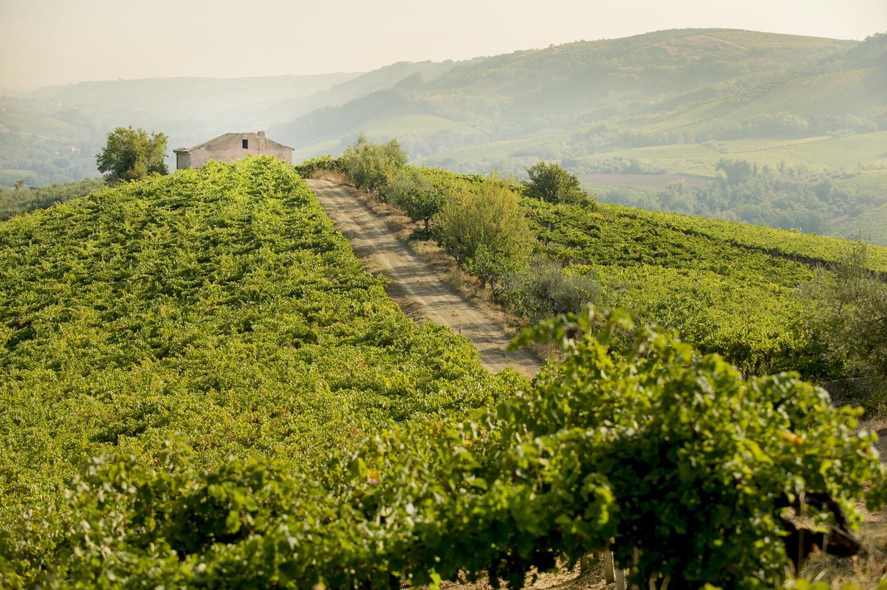 Baldovino B&B Villamagna  外观 照片